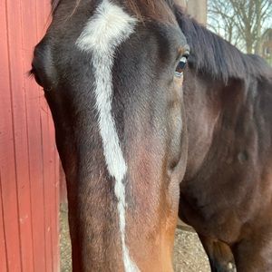 Meet your Posher, Terri